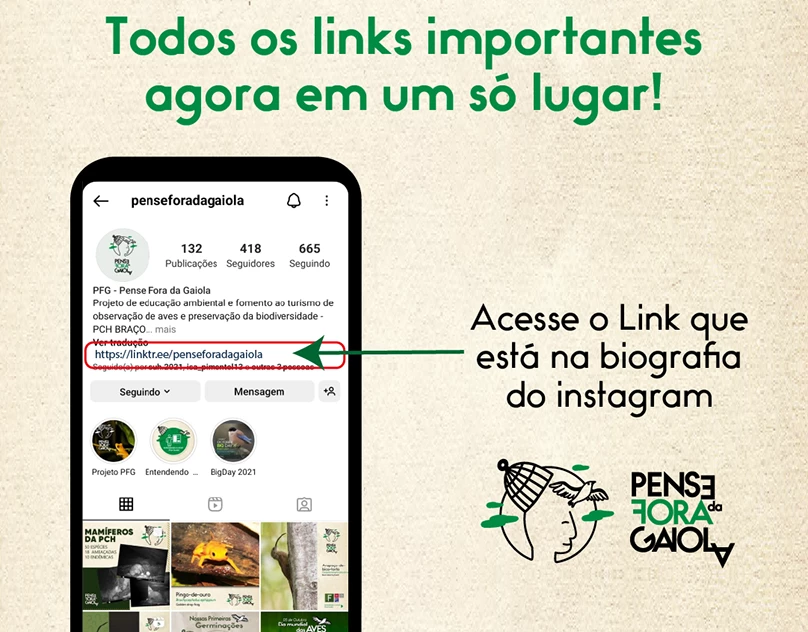 Pense Fora da Gaiola social media project